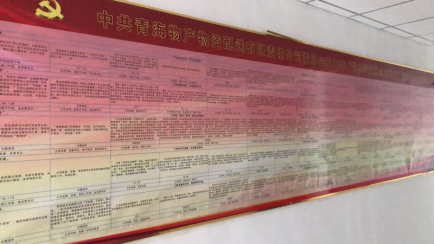 物產配送公司黨委“黨的建設重點強化年”活動2018年工作任務、組織保障具體化